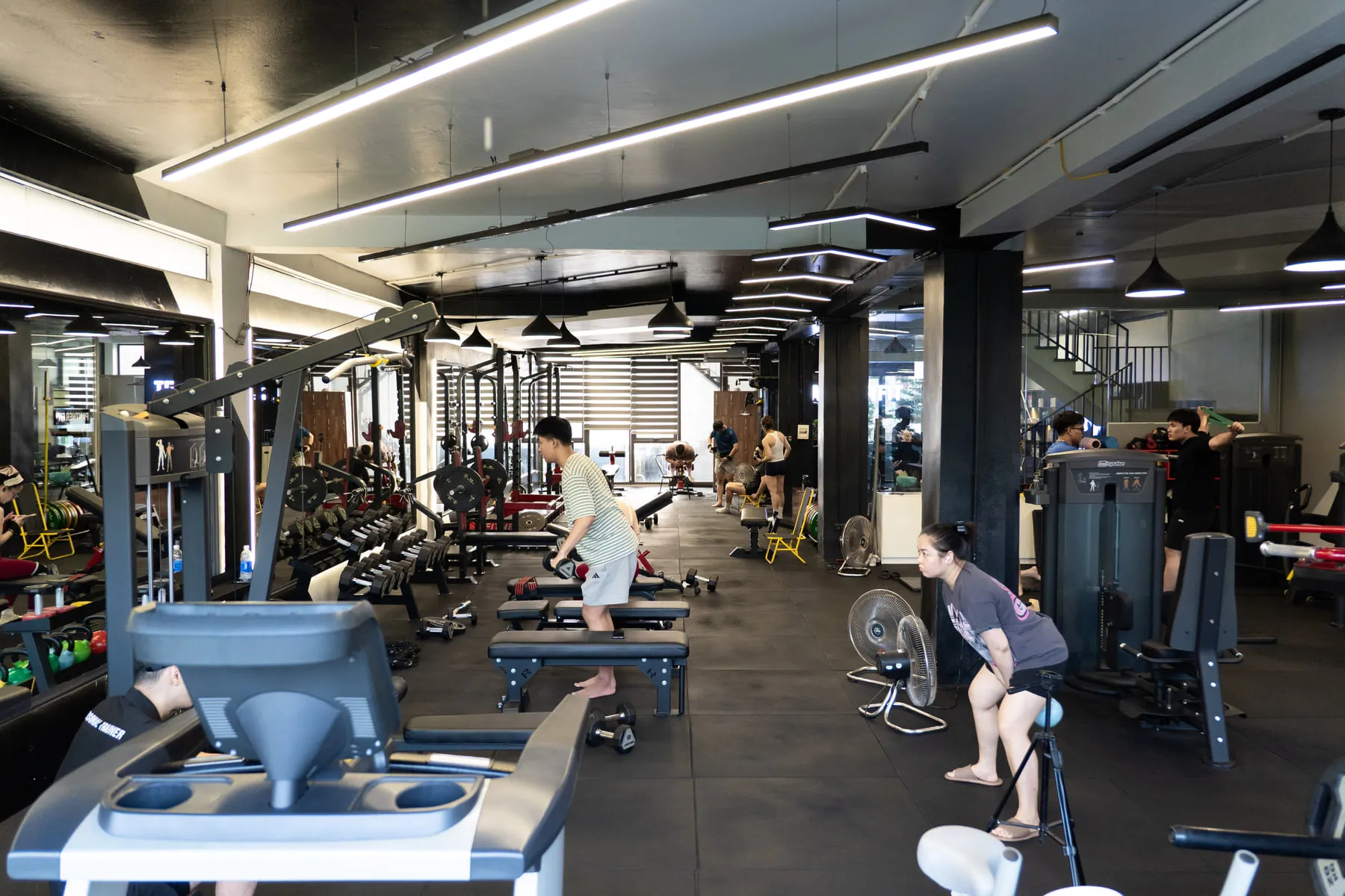 Dàn máy tập và ghế đẩy ngực trong phòng tập Panther Fit